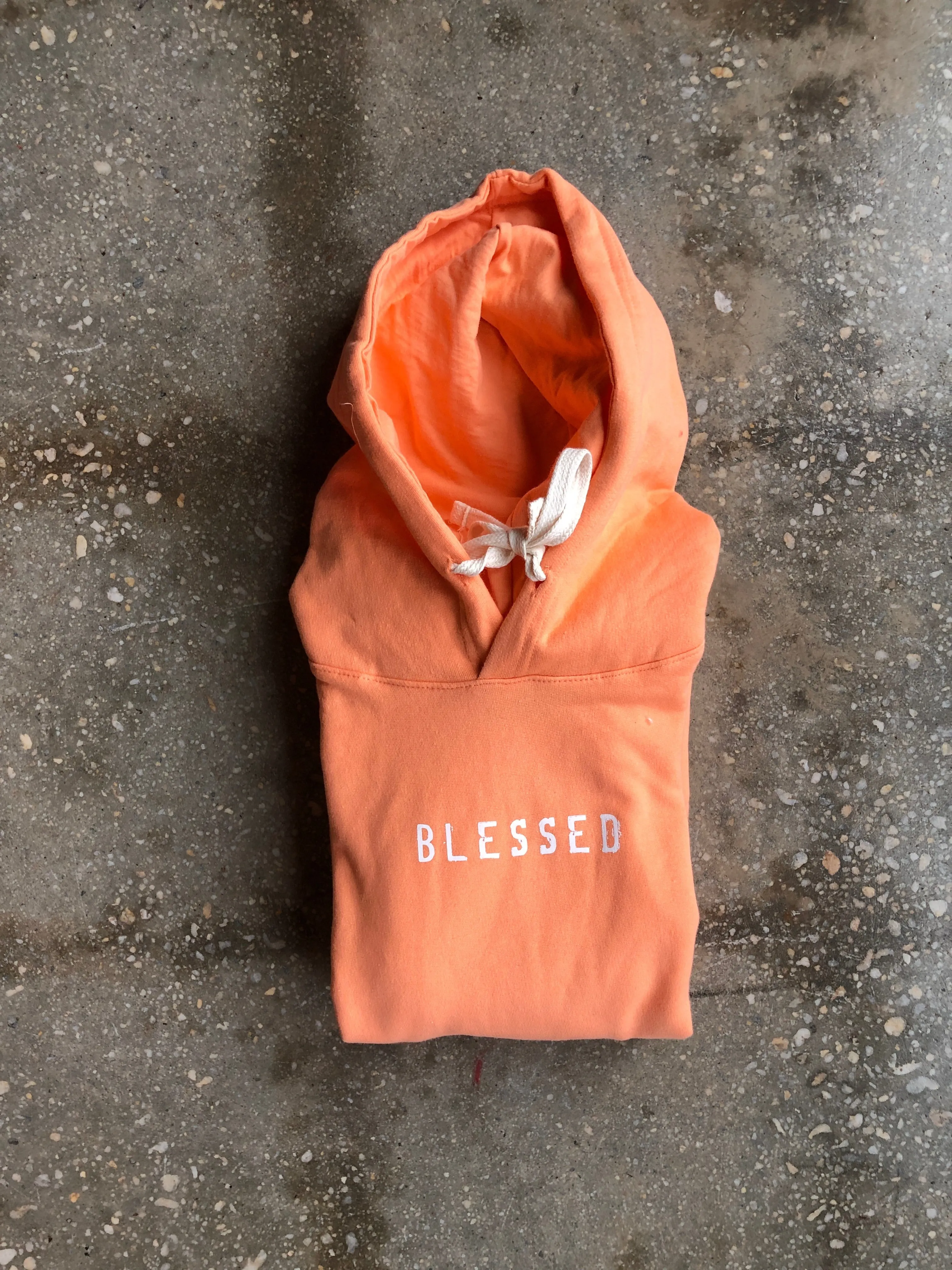 (CLEARANCE) Grateful, Thankful, Blessed Adult Hoodie