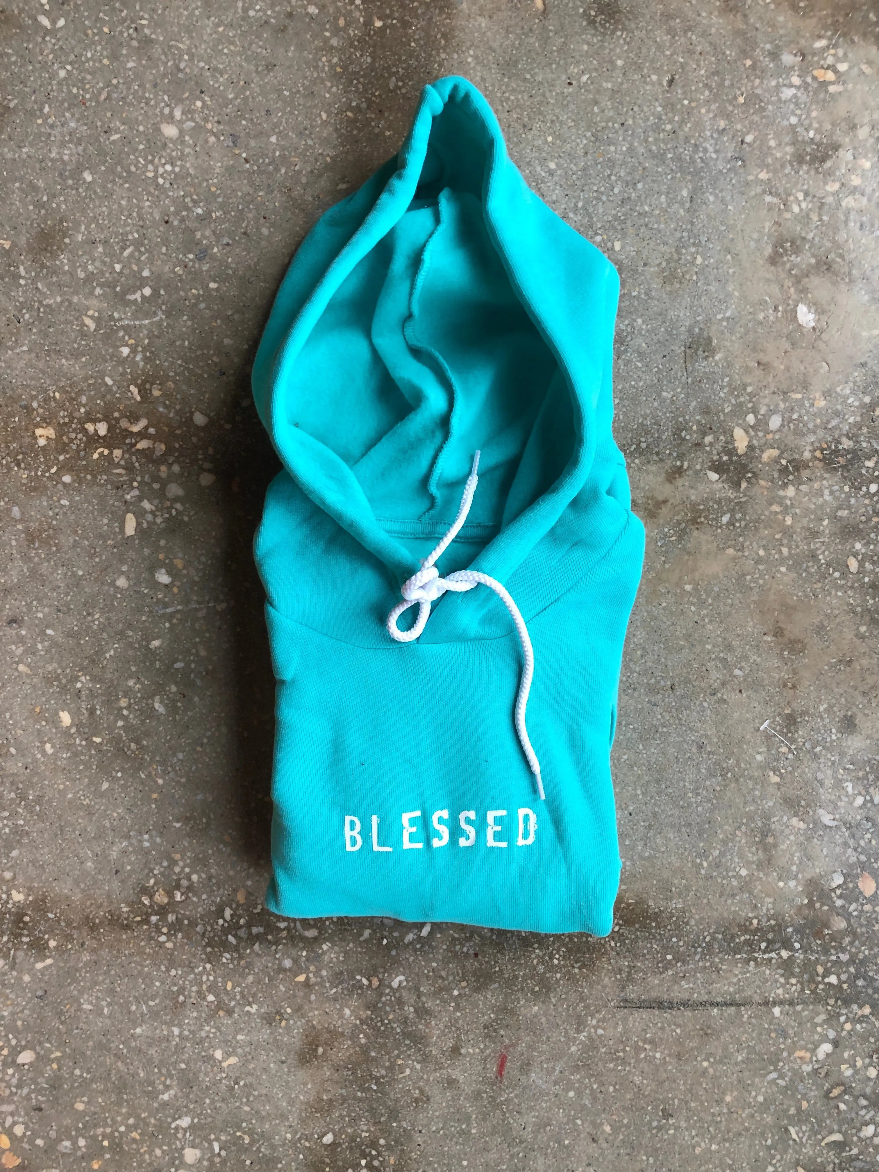 (CLEARANCE) Grateful, Thankful, Blessed Adult Hoodie