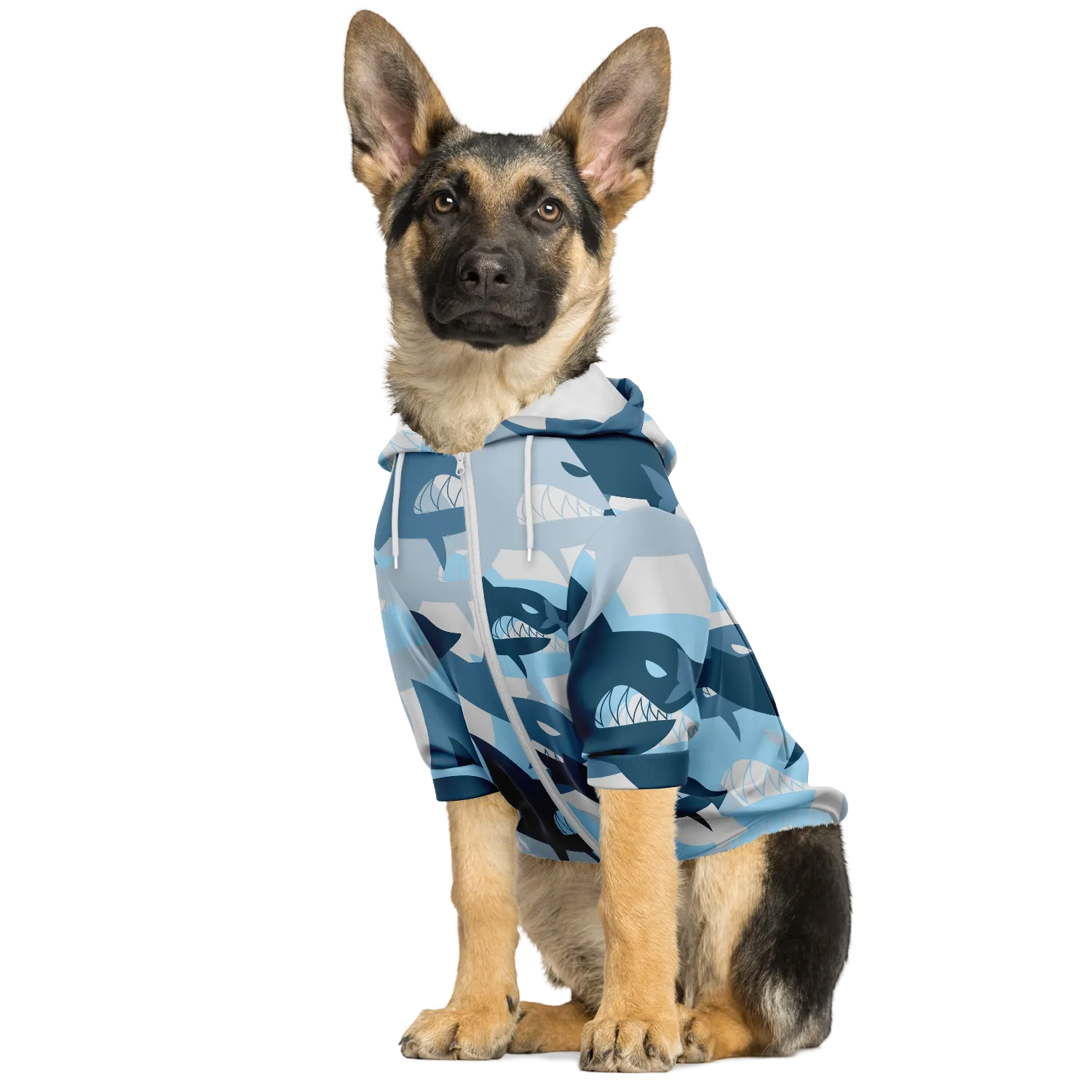 Dog shark camo-2021