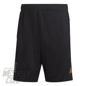 Germany Adult 2022 Training Shorts