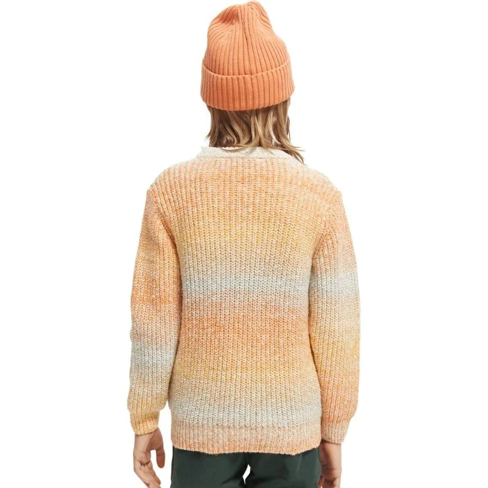 Gradient Crewneck Pullover Knit