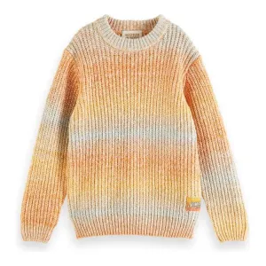 Gradient Crewneck Pullover Knit