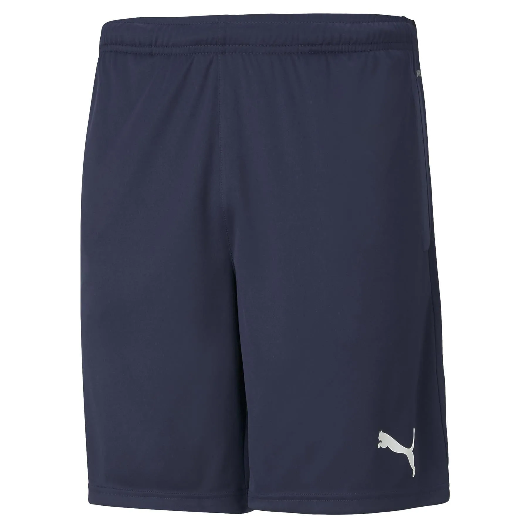 Puma Team RISE Mens Training Shorts - Blue